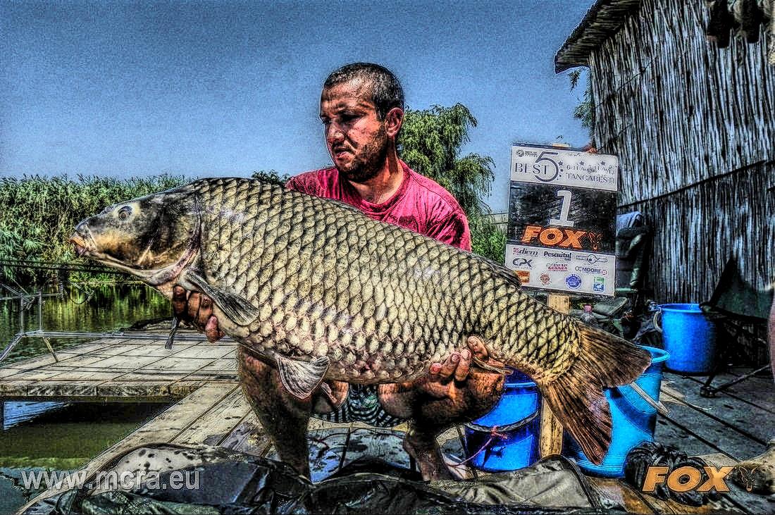 MeetCarp Romanian Awards 2013 (3)